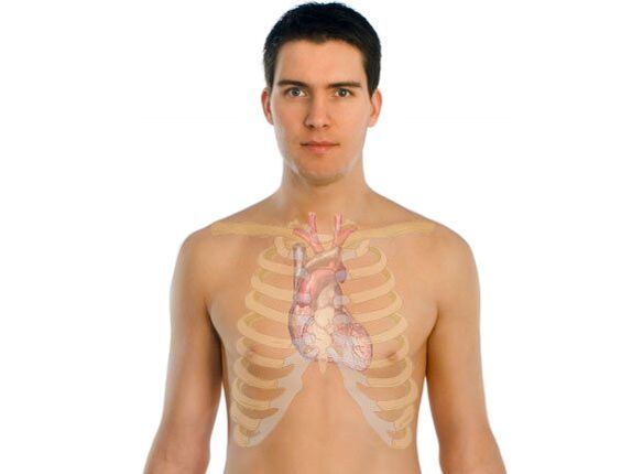 hogyan hatnak a paraziták az emberi szervekre