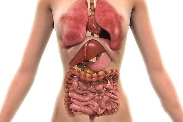 paraziták az emberi szervezetben